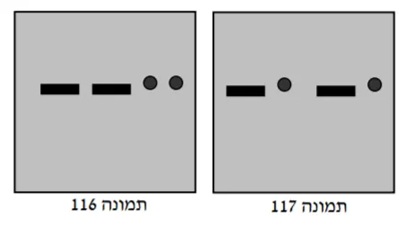 תרשים לשאלה 5