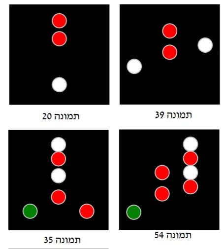 תרשים לשאלה 24