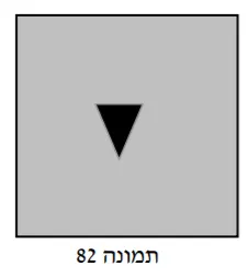 תרשים לשאלה 11