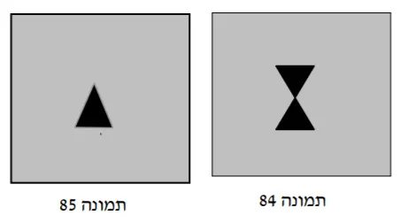 תרשים לשאלה 11
