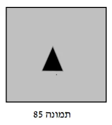 תרשים לשאלה 45