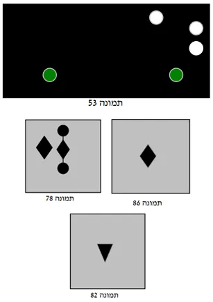 תרשים לשאלה 12