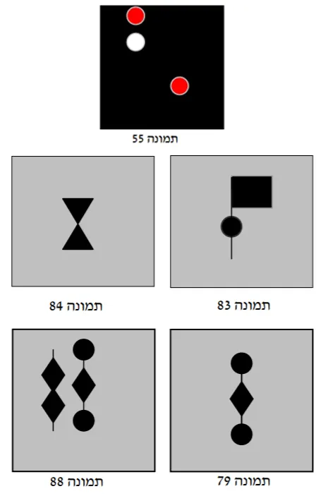 תרשים לשאלה 24