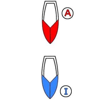 תרשים לשאלה 7